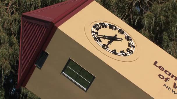 Ванака Южном Побережье Новой Зеландии — стоковое видео