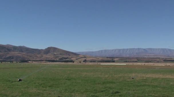 Water Sprinkling Grassland New Zealand — Stock Video