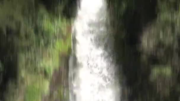 Водопад Южном Острове Новой Зеландии — стоковое видео