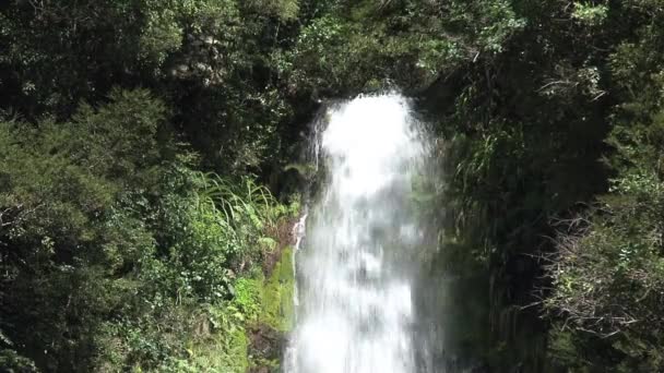 Vodopád Jižním Ostrově Nový Zéland — Stock video