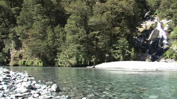 ニュージーランドの南の島の滝 — ストック動画