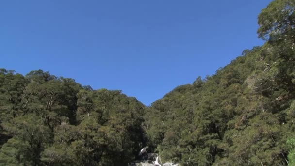 Yeni Zelanda Nın Güneyindeki Şelalede — Stok video