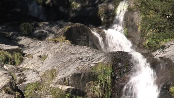 Yeni Zelanda Nın Güneyindeki Şelalede — Stok video