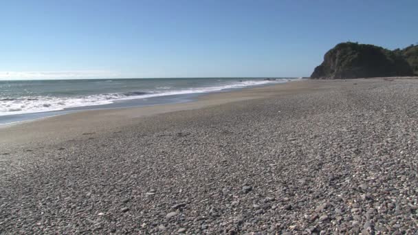 Westcoast Southern Island New Zealand — Stock Video