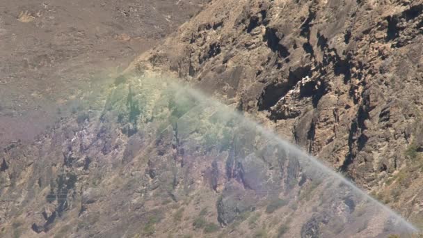 Westcoast Southern Island Nouvelle-Zélande