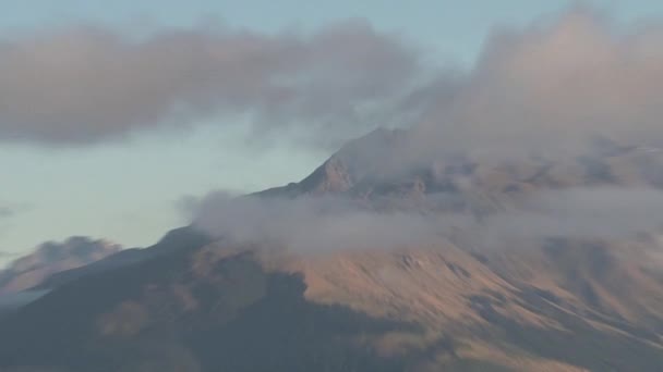 Batı Yakası Güney Adası Yeni Zelanda — Stok video