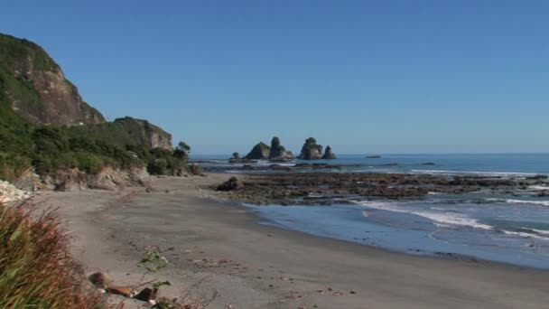 Westcoast Isla Del Sur Nueva Zelanda — Vídeo de stock