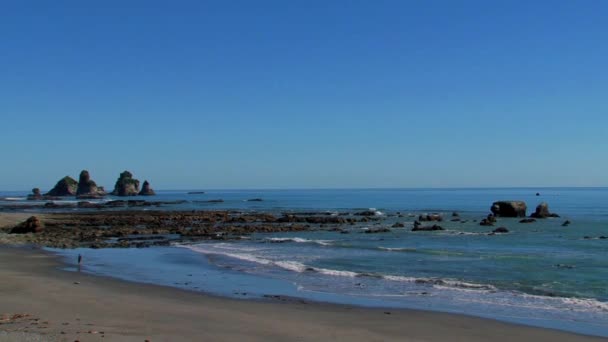 Costa Sur Nueva Zelanda — Vídeos de Stock