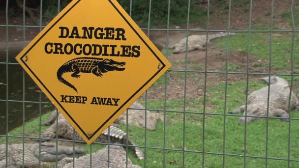 Znak Zagrożenia Przed Obudową Dla Krokodyli Nilu — Wideo stockowe