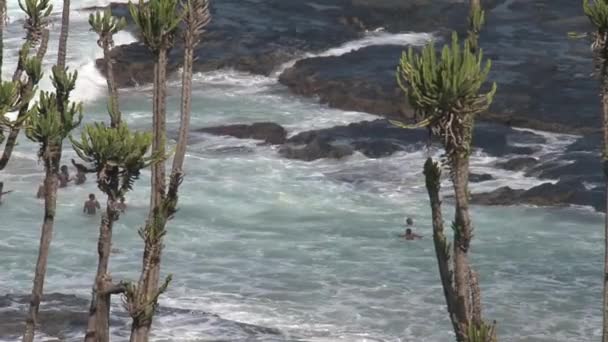 Lidé Plavou Vlnách Pobřeží — Stock video