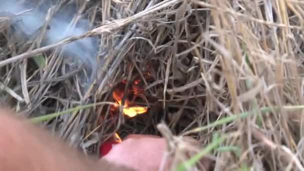 Wasser Auf Ein Feuer Der Savanne Gießen — Stockvideo