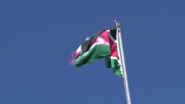 Kenyan Flag Blowing Wind Blue Sky — Stock Video