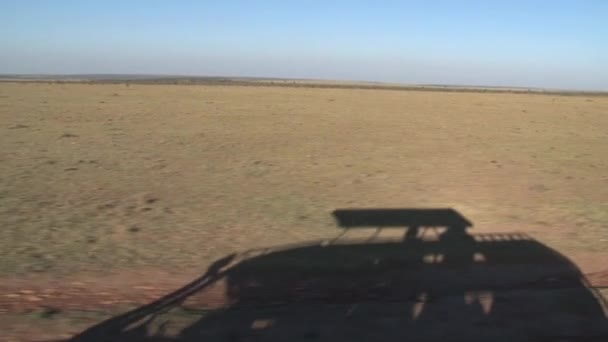 Schatten Eines Jeeps Auf Der Savanne — Stockvideo