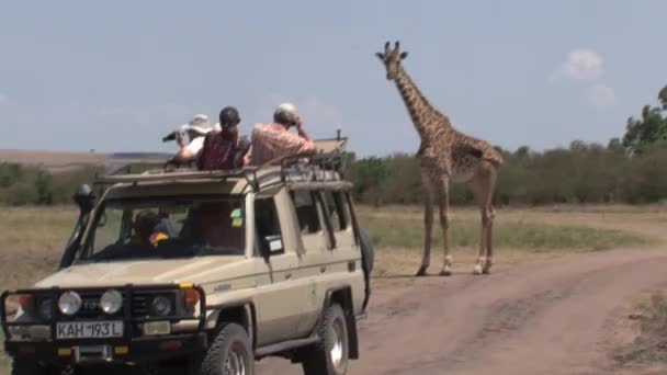 Jeep Vol Toeristen Fotograferen Een Giraffe — Stockvideo