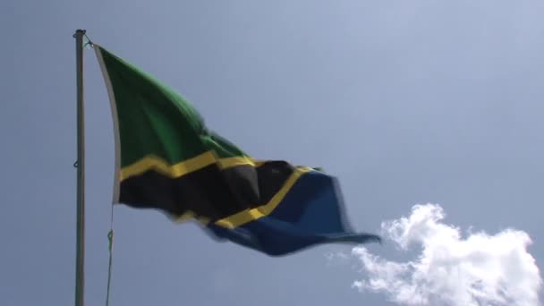 Vlag Van Tanzania Blazend Tegen Een Blauwe Lucht — Stockvideo