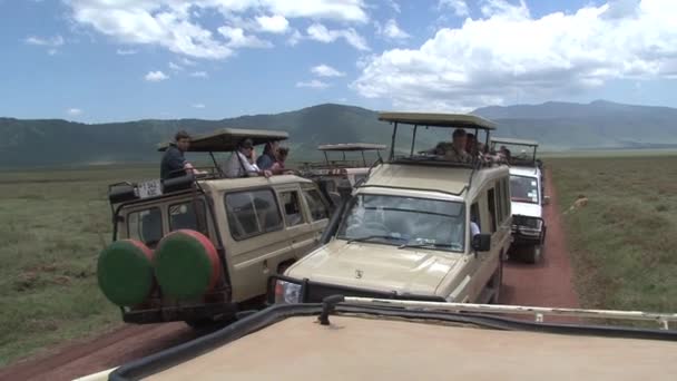 Turistas Jeeps Safari — Vídeos de Stock