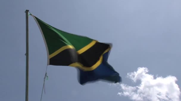 Σημαία Της Τανζανίας Που Φυσάει Πάνω Γαλάζιο Ουρανό — Αρχείο Βίντεο