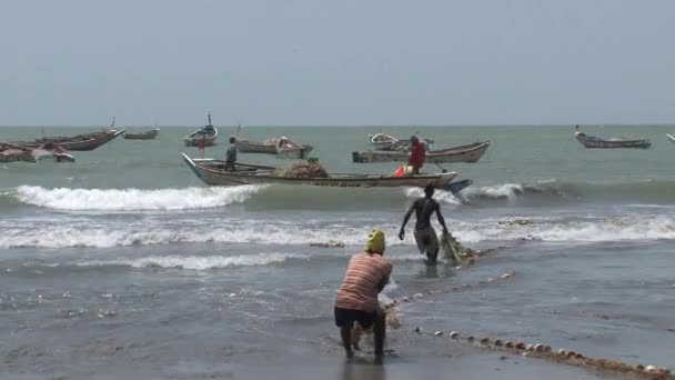 冈比亚重体力劳动的渔民 — 图库视频影像