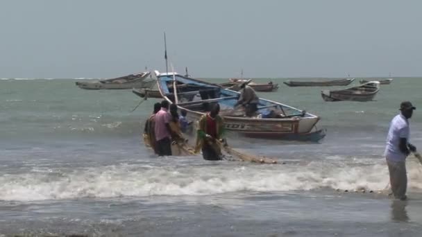 冈比亚重体力劳动的渔民 — 图库视频影像