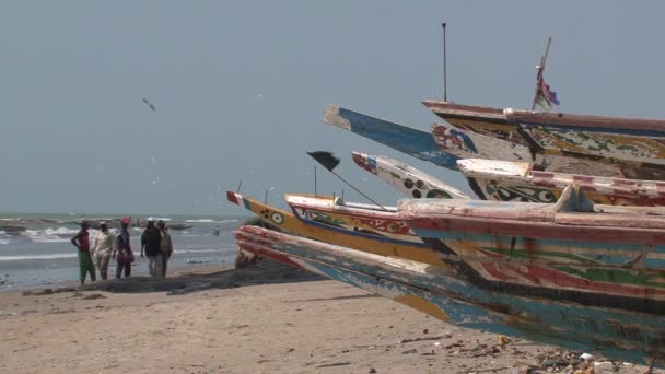 Łodzie Rybackie Banjul Gambia — Wideo stockowe