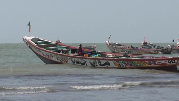 Łodzie Rybackie Banjul Gambia — Wideo stockowe