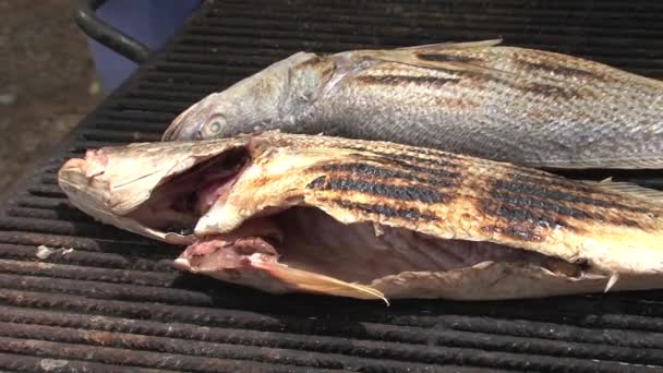 Peixe Churrasco África — Vídeo de Stock