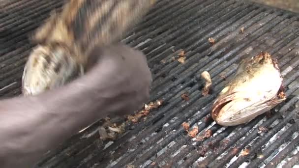 Poisson Sur Barbecue Afrique — Video