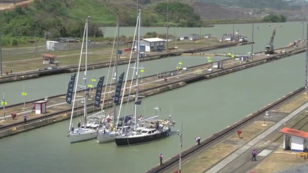 Парусные Лодки Входящие Панамский Канал — стоковое видео