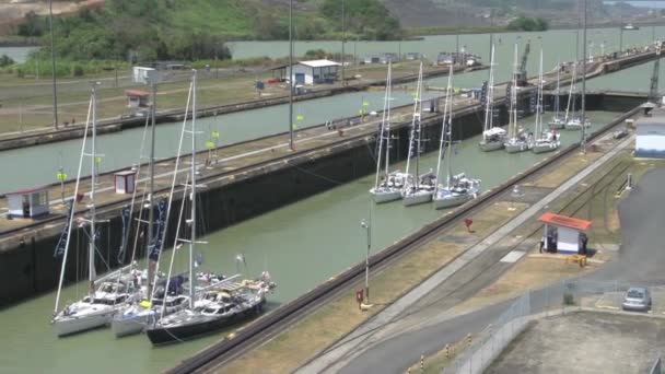 Sailboats Going Panama Canal — Stock Video