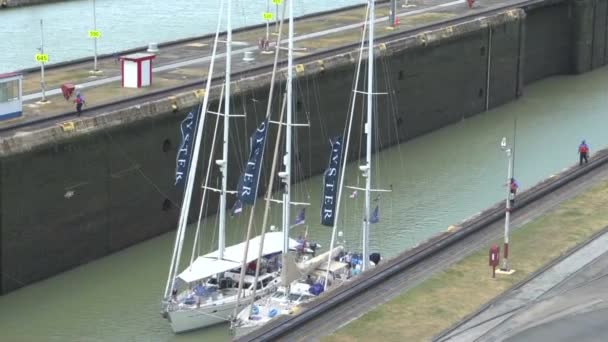 Barche Vela Che Lasciano Panama Canal Miraflores Serrature — Video Stock