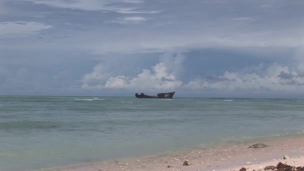 Karayiplerdeki Aruba Adasında Gemi Enkazı — Stok video