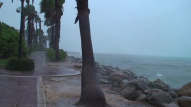 Karayiplerdeki tropik fırtına Aruba adası