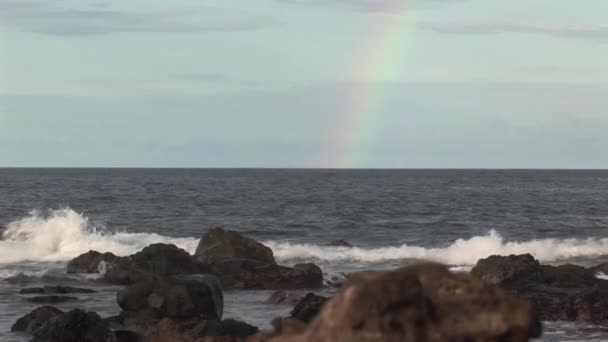 Regnbåge Från Havet Aruba Karibiska — Stockvideo