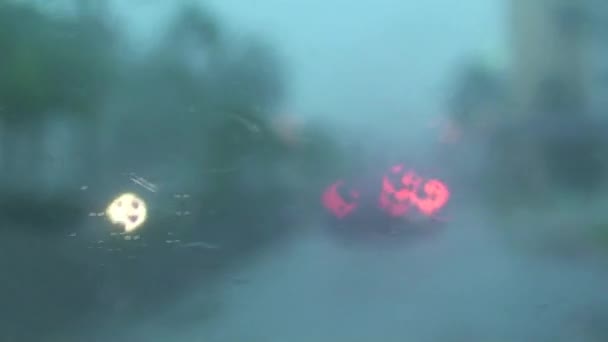 Tormenta Tropical Isla Aruba Caribe — Vídeo de stock