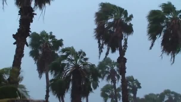 Tropical Storm Aruba Island Caribbean — Stock Video