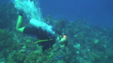 Hollanda Antilleri 'nin Curacao Adası