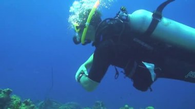 Curacao 'da dalış Hollanda Antilleri Karayipleri