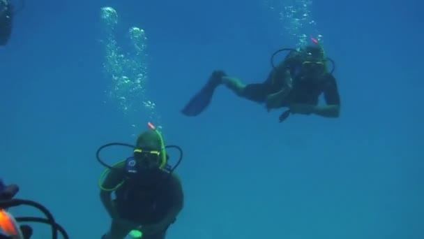 キュラソーでのダイビング オランダ領アンティル諸島 — ストック動画