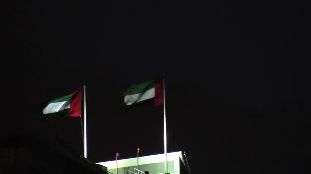 Flags United Arab Emirates — Stock Video