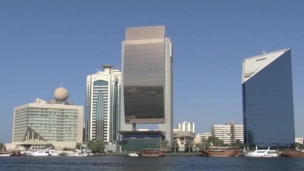 Vismarkt Dubai Verenigde Arabische Emiraten — Stockvideo
