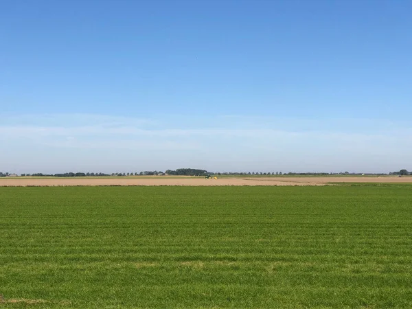 Farmland Electra Groningen Netherlands — Stock Photo, Image