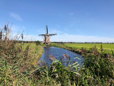 Frizya manzarası Nijemirdum, Friesland Hollanda etrafında yel değirmeni