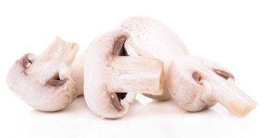 Mantar şampiyonu, beyaz arka planda izole edilmiş sağlıklı taze sebze..