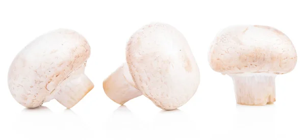 Paddestoel Champignon Gezonde Verse Groenten Uit Natuur Geïsoleerd Een Witte — Stockfoto