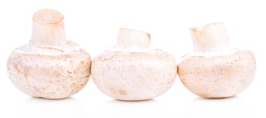 Mantar şampiyonu, beyaz arka planda izole edilmiş sağlıklı taze sebze..