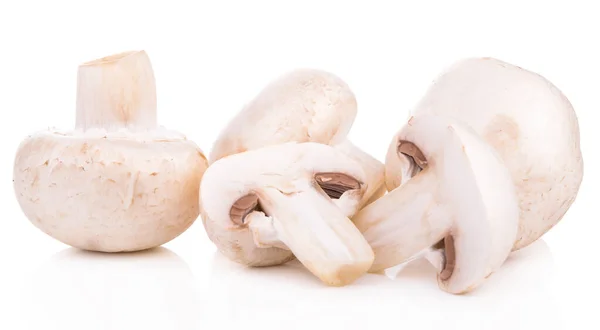 Paddestoel Champignon Gezonde Verse Groenten Uit Natuur Geïsoleerd Een Witte — Stockfoto