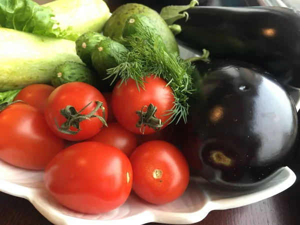 도마도 , 오이, 가지 , 주치니 및 흰 접시의 야채. — 스톡 사진