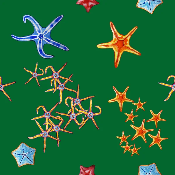 Summer Grass Green Seamless Color Pattern Watercolor Sketches Sea Stars — Stock Photo, Image