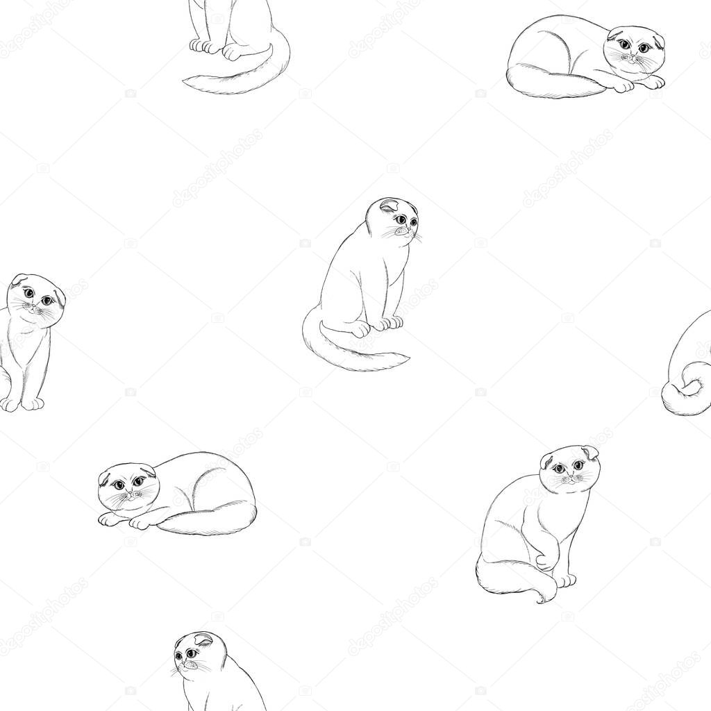 Hand drawn cats seamless pattern on a white background.