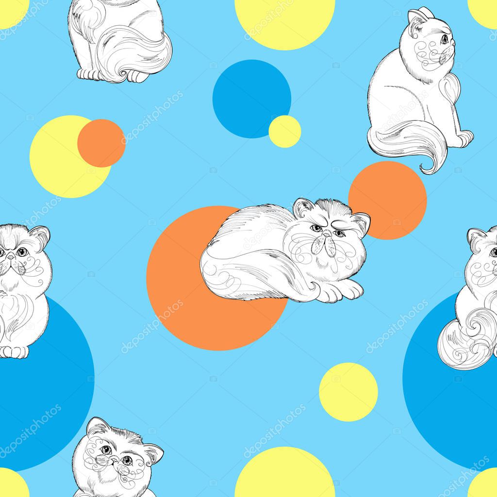 Persian cats on a blue background with yellow and orange circles seamless pattern.